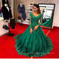 Emerald Green DuBai Online Shopping Imported Women Formal long Evening Dresses for Ladies